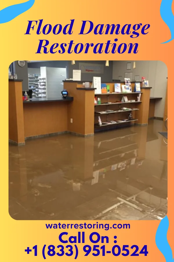 Flood Damage Restoration in Chesterfield, SC