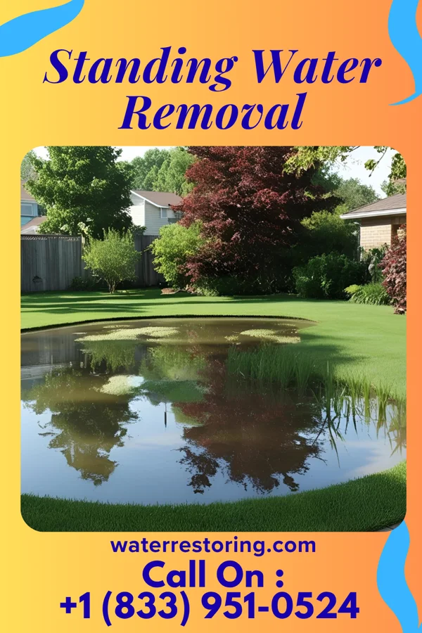 Standing Water Removal in Chesterfield, SC